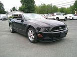 Ford Mustang 2013 - Thumbnail 1